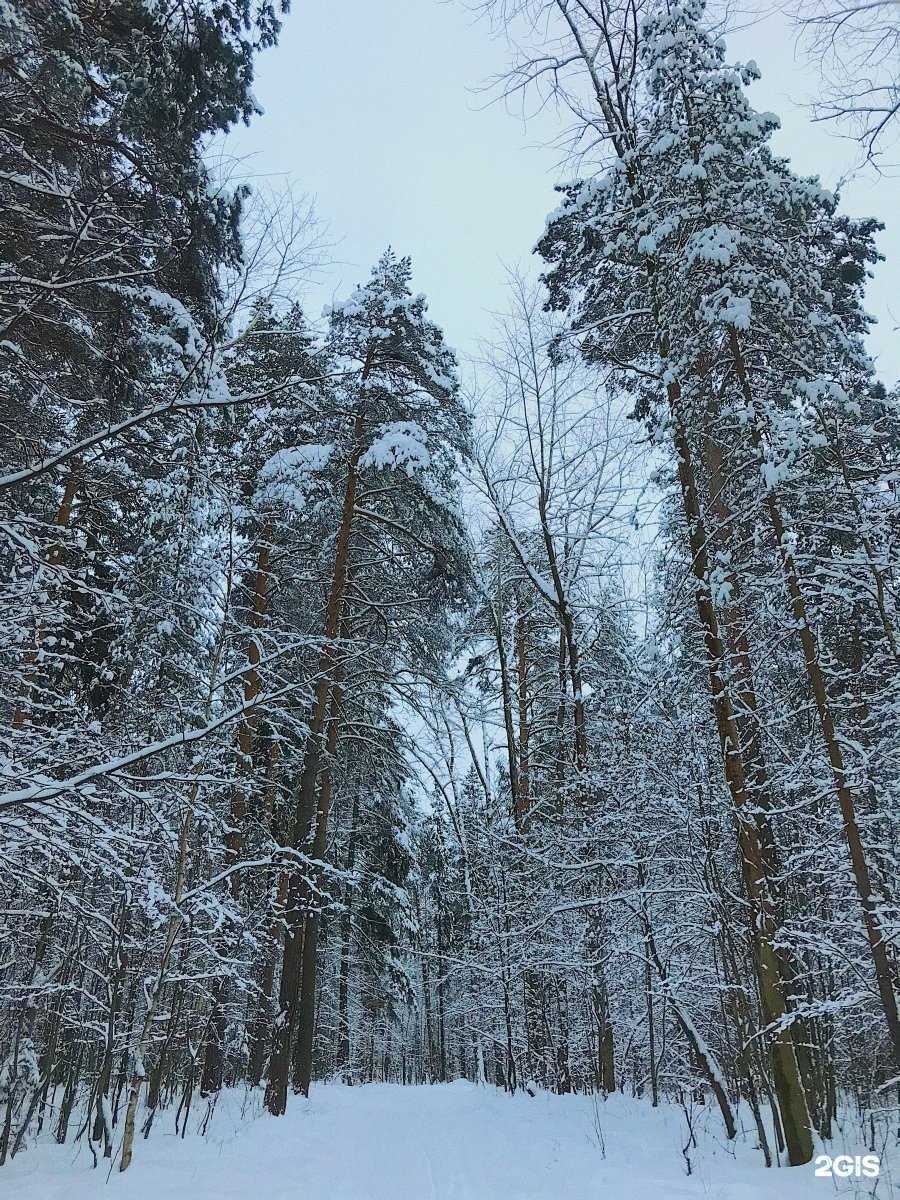 Отзывы на компанию ПермПромСервис в Перми c фото - фотография 2 из 2