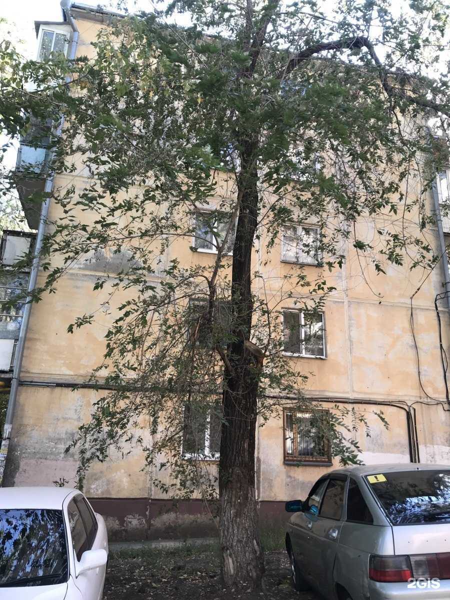 Отзывы на компанию Алия в Самаре c фото - фотография 2 из 2