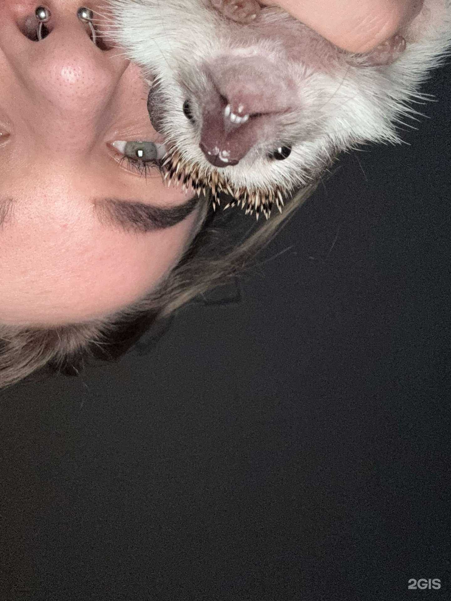 Отзывы на компанию Зooрай в Тюмени c фото