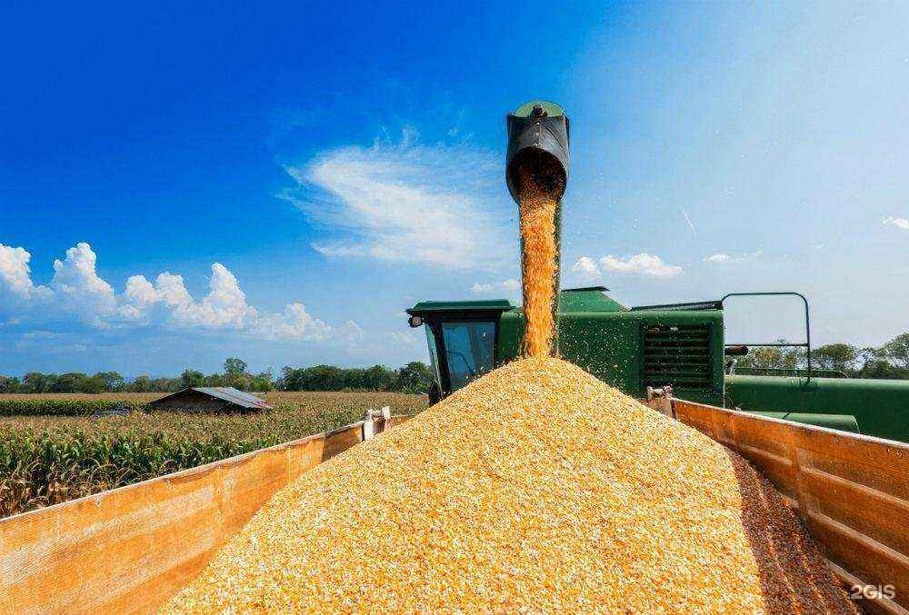 Отзывы на компанию Альфа Дон Транс в Балакове c фото