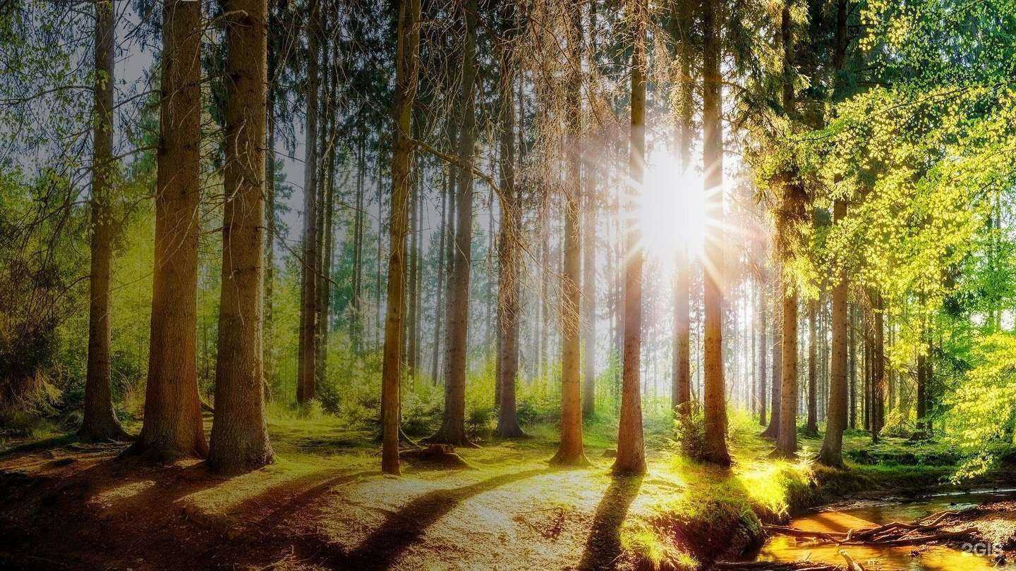 Отзывы на компанию Чебаркульский исток в Челябинске c фото