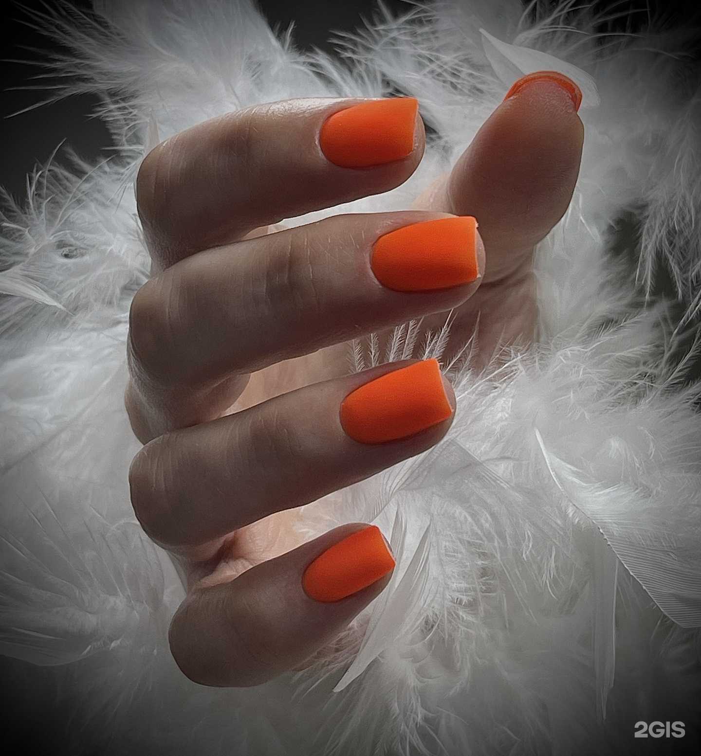 Отзывы на компанию Beginails в Воронеже c фото