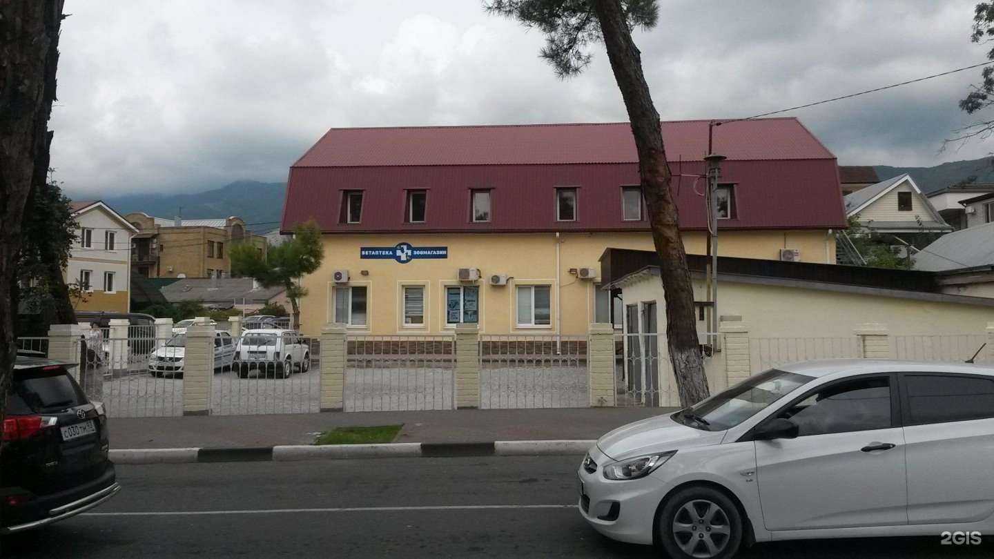 Отзывы на компанию Зоомагазин ​ в Геленджике c фото - фотография 2 из 2