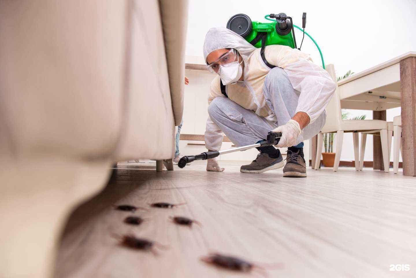 Отзывы на компанию Уют в доме в г. Каменск-Уральский c фото