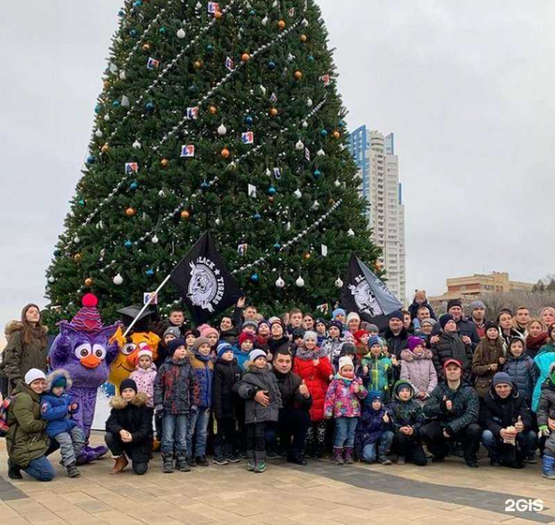 Отзывы на компанию Black Tigers в г. Волгоград c фото