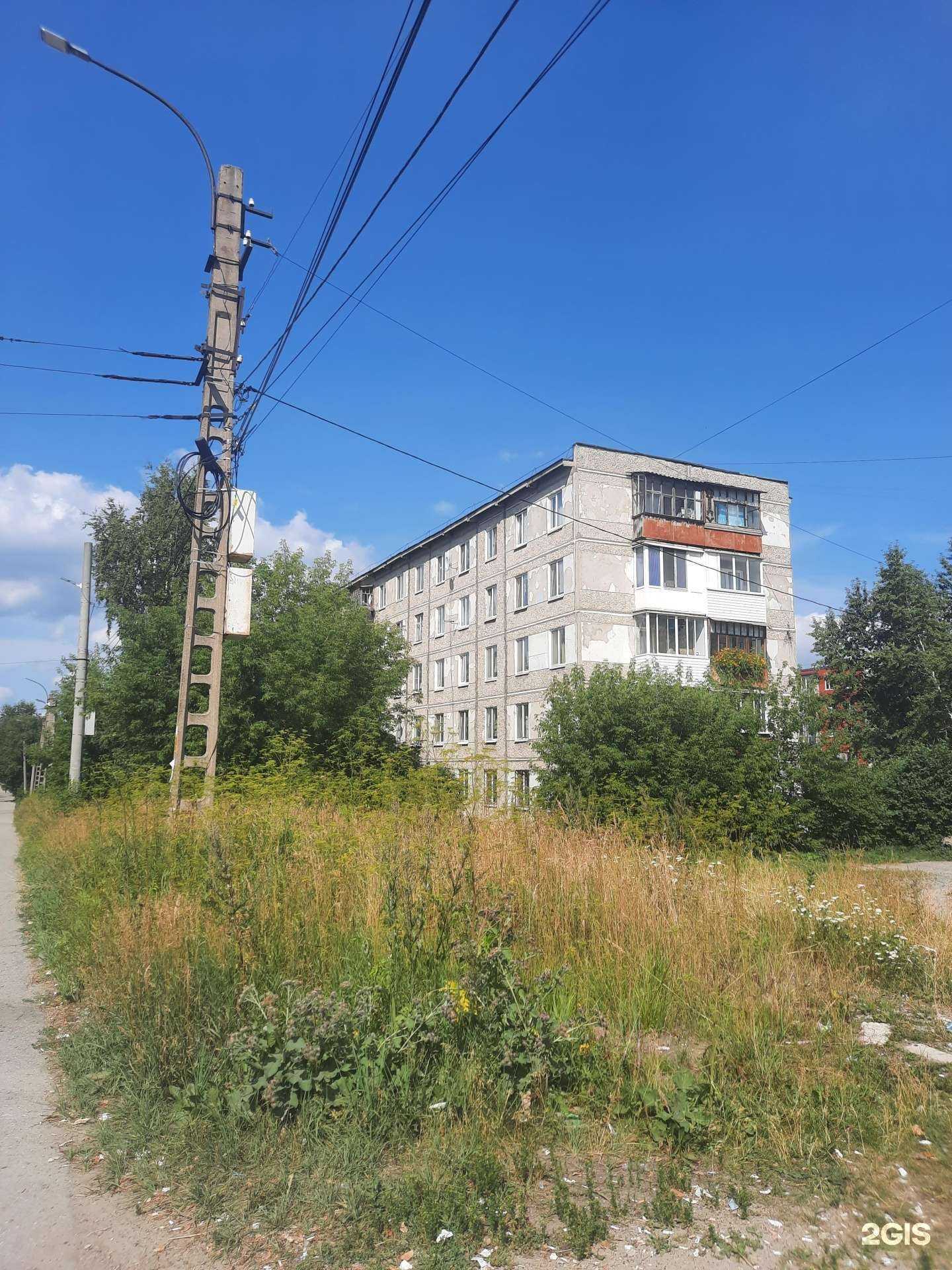 Отзывы на компанию Тигр и Дракон в г. Березники c фото