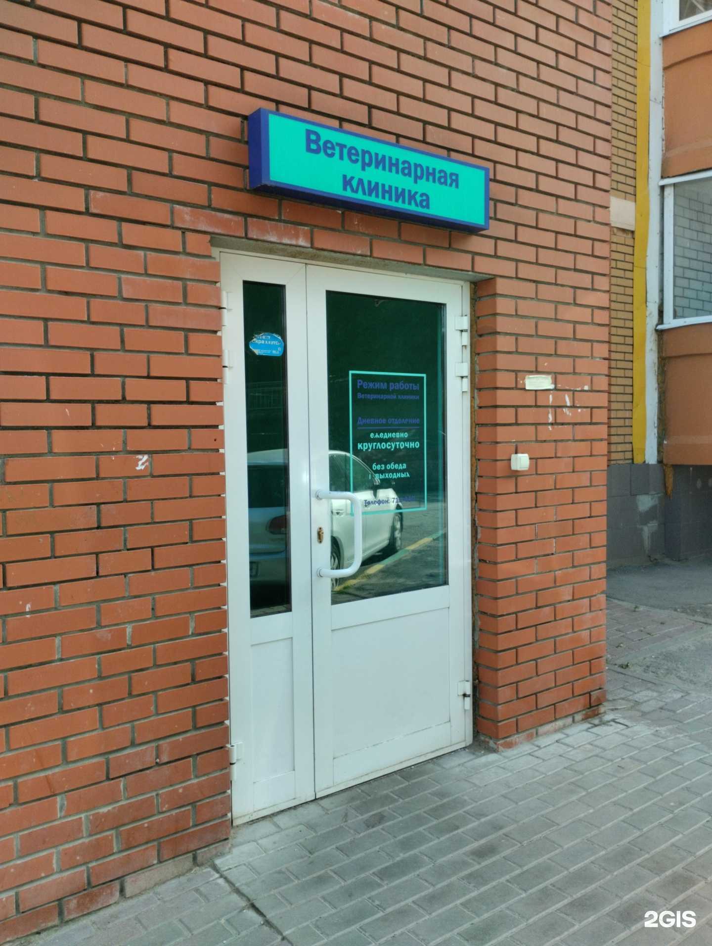 Отзывы на компанию Айболит в г. Тула c фото