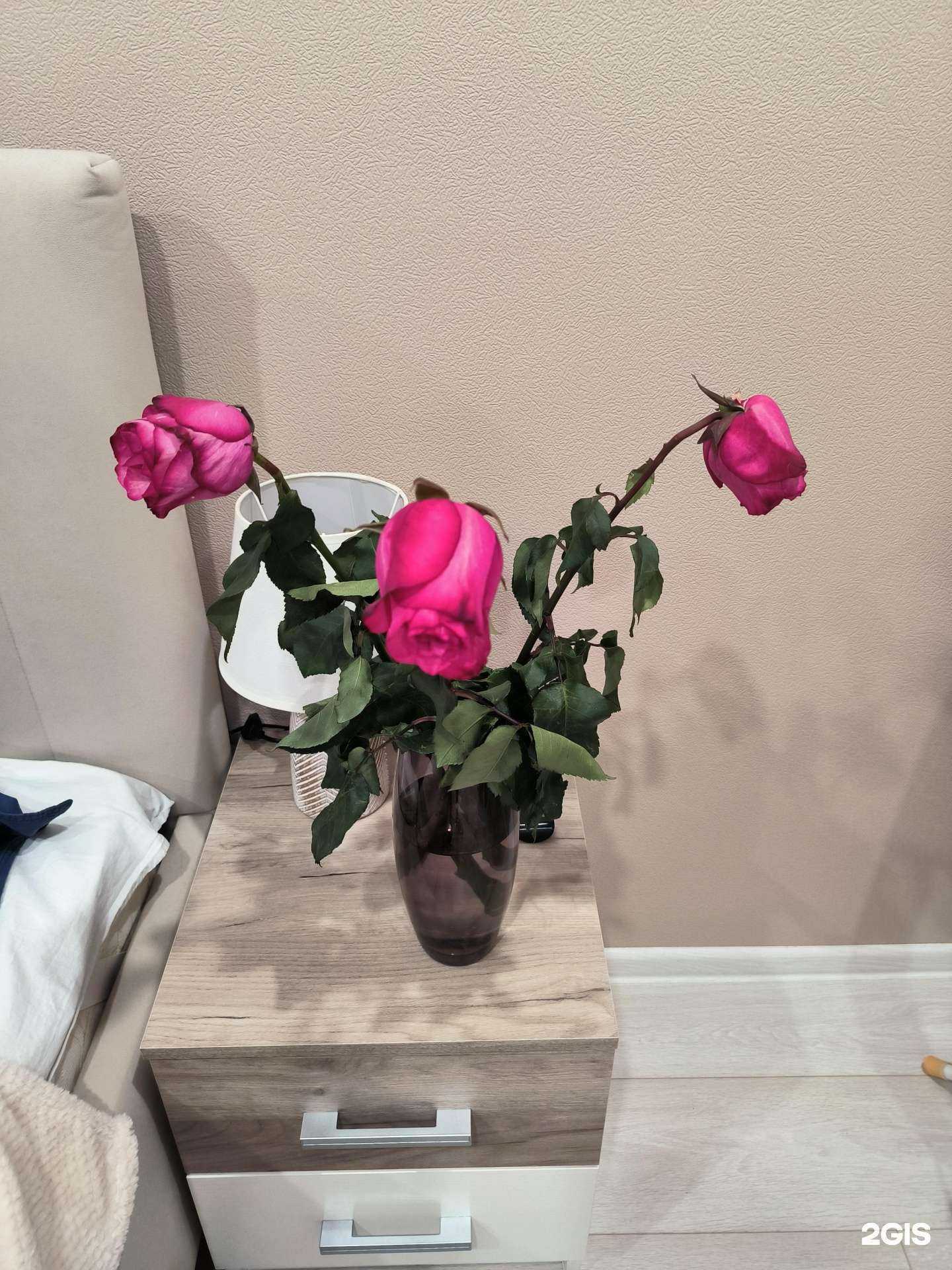 Отзывы на компанию Салон цветов в г. Нижний Новгород c фото