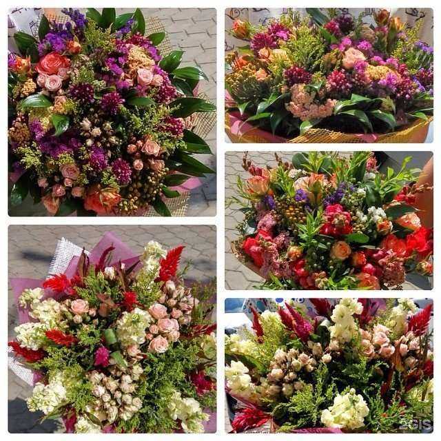 Отзывы на компанию Цветем и пахнем в Краснодаре c фото