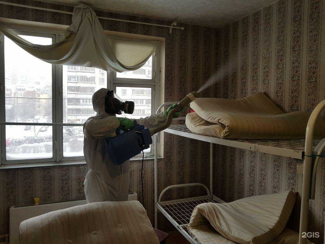 Отзывы на компанию Региональная служба дезинфекции в Красноярске c фото