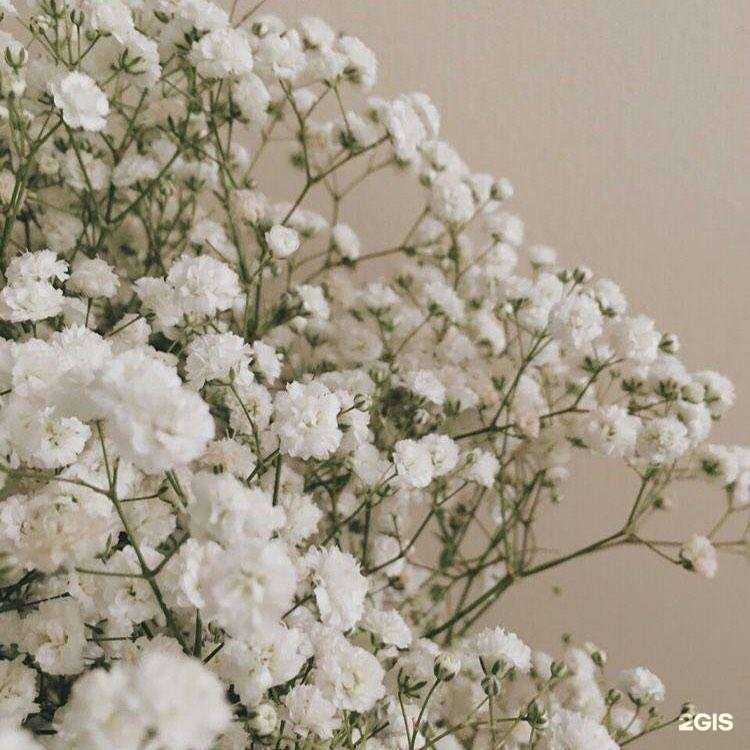 Отзывы на компанию MatiGroup в Курске c фото