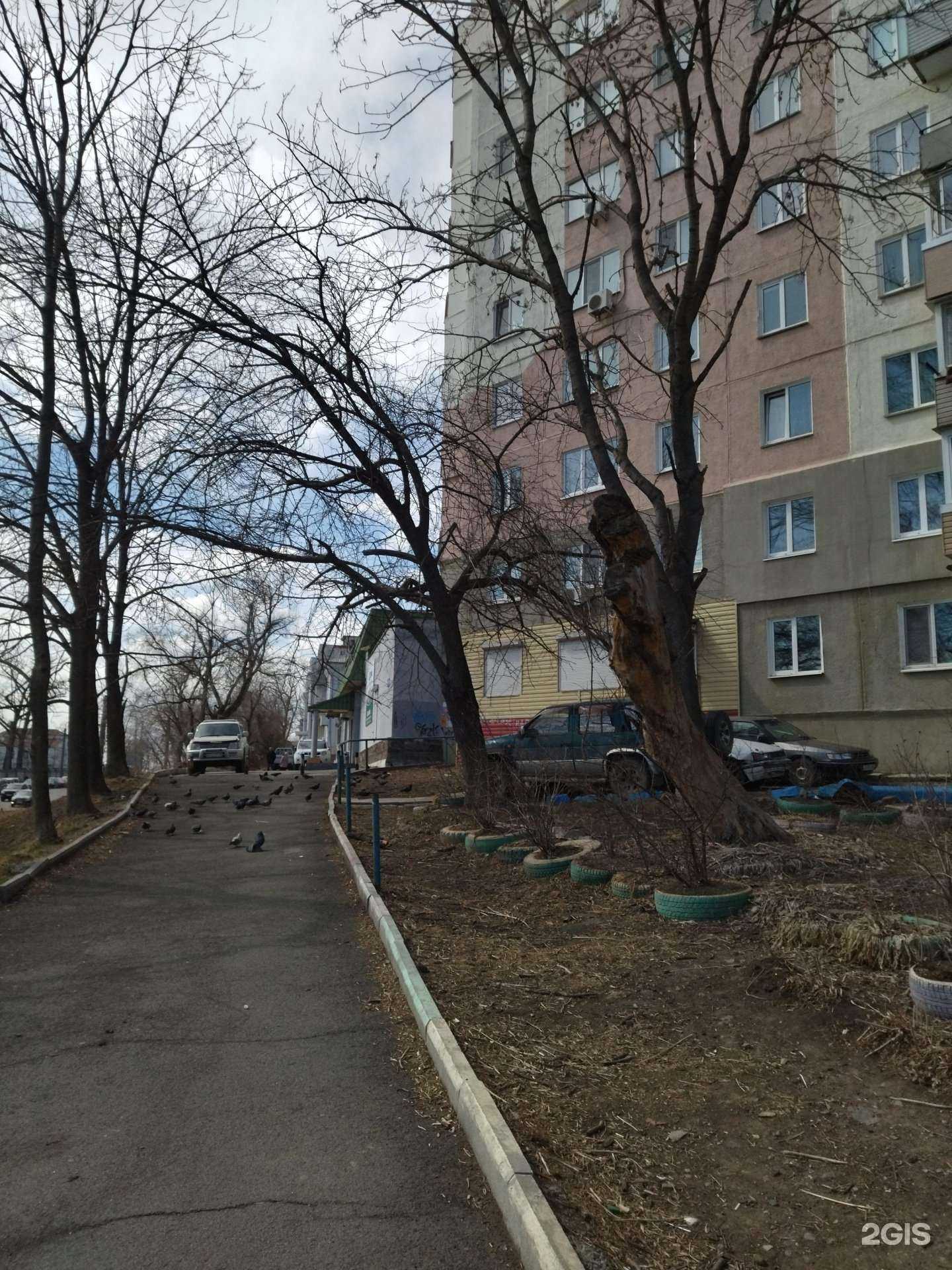 Отзывы на компанию Технология управления в Владивостоке c фото - фотография 2 из 2