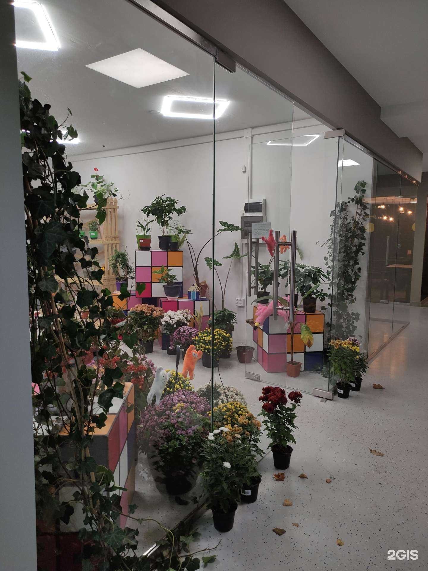 Отзывы на компанию Flower art в Истре c фото