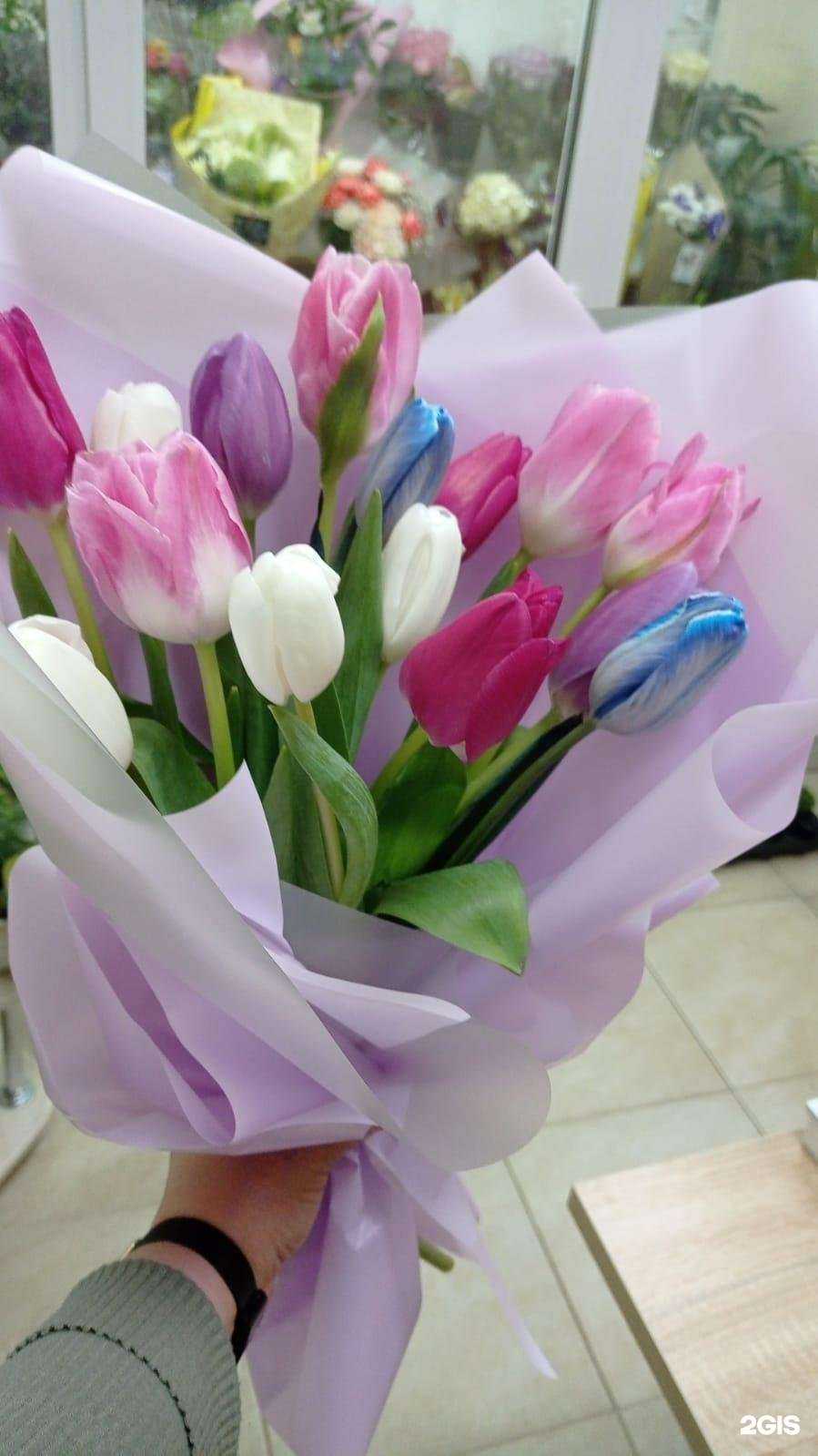 Отзывы на компанию Василиса в Кирове c фото