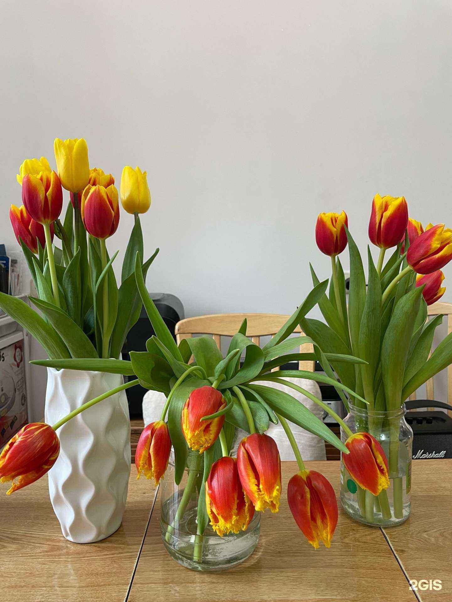 Отзывы на компанию ПетунияНск в г. Новосибирск c фото