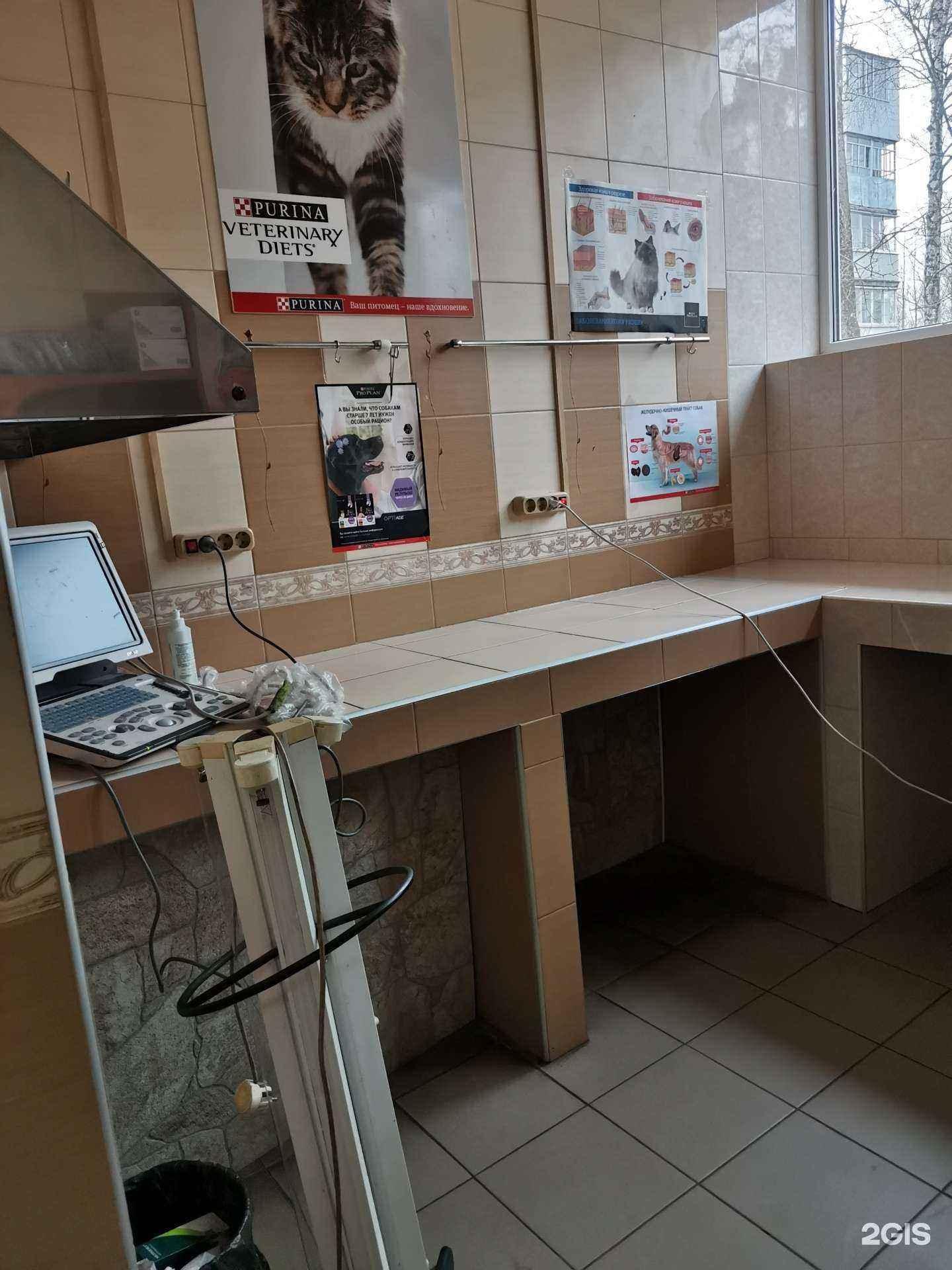 Отзывы на компанию Айболит в Смоленске c фото