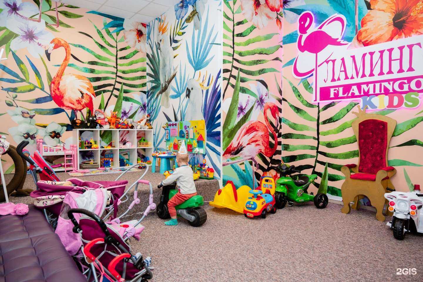 Отзывы на компанию Фламинго kids в Омске c фото