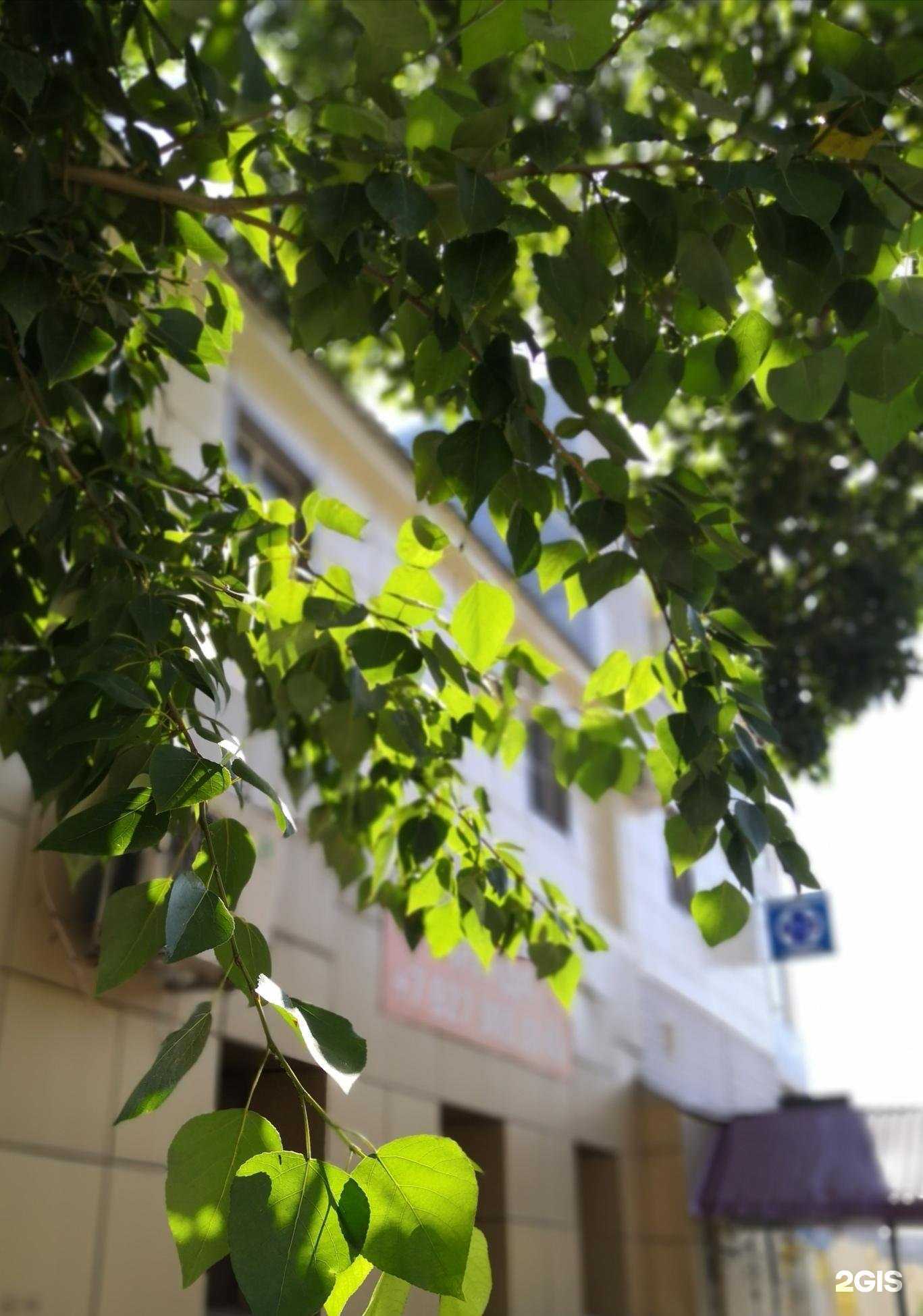 Отзывы на компанию ВетСвет в г. Уфа c фото