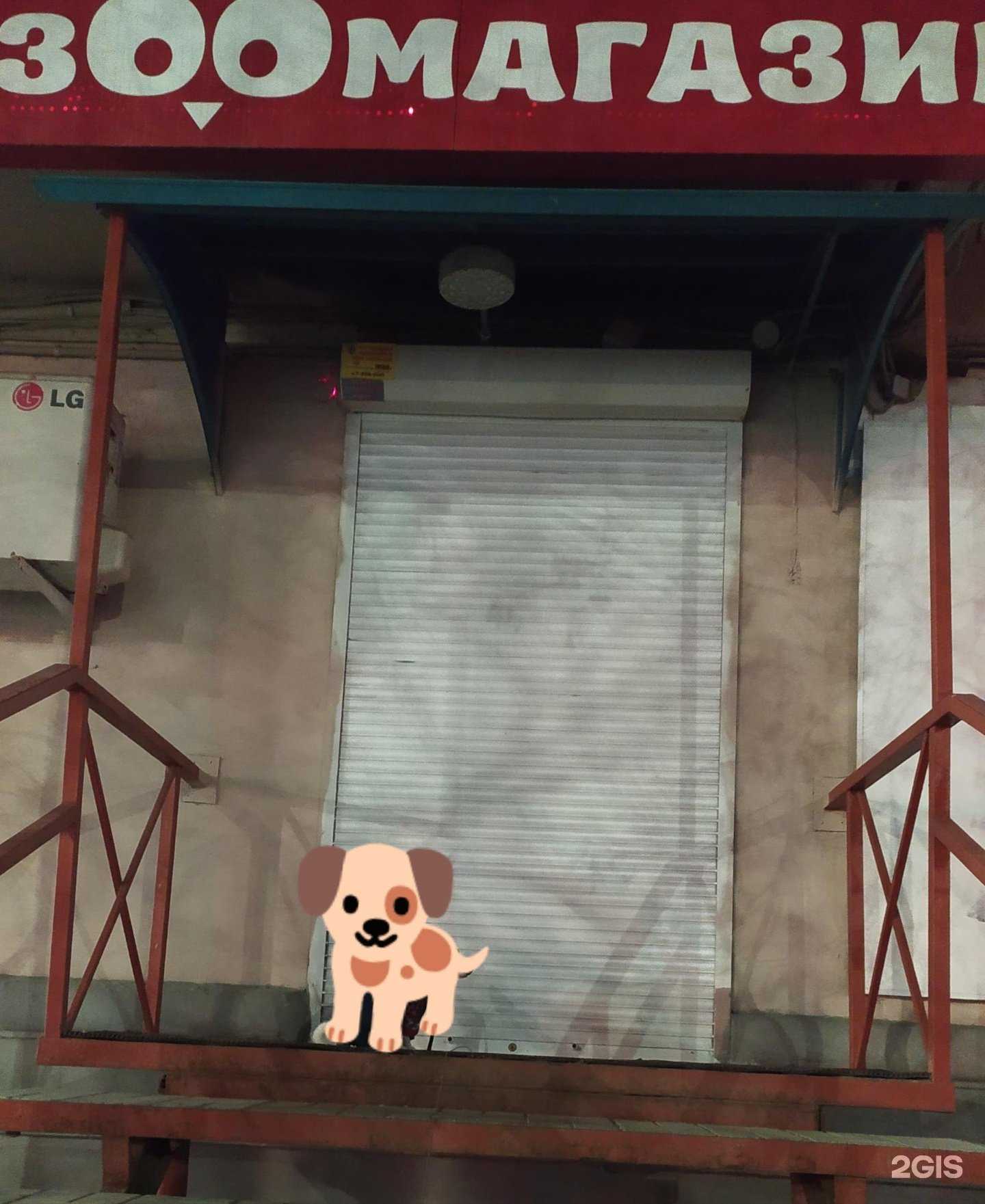 Отзывы на компанию Зоомагазин в Челябинске c фото