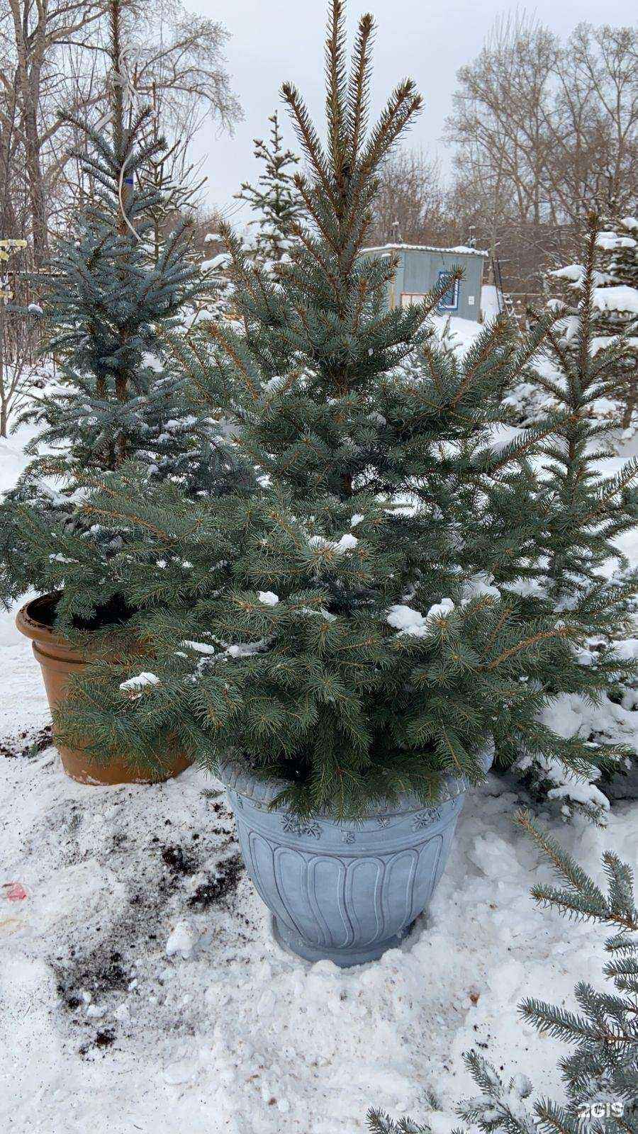 Отзывы на компанию Астра М в г. Новосибирск c фото