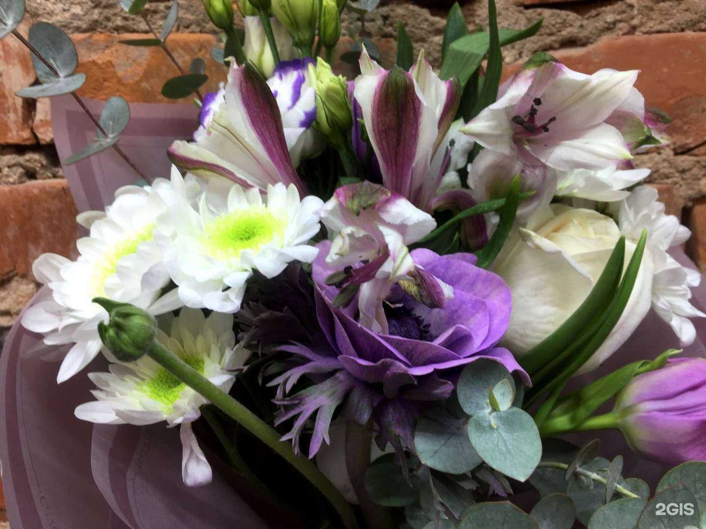 Отзывы на компанию Природа в г. Петрозаводск c фото