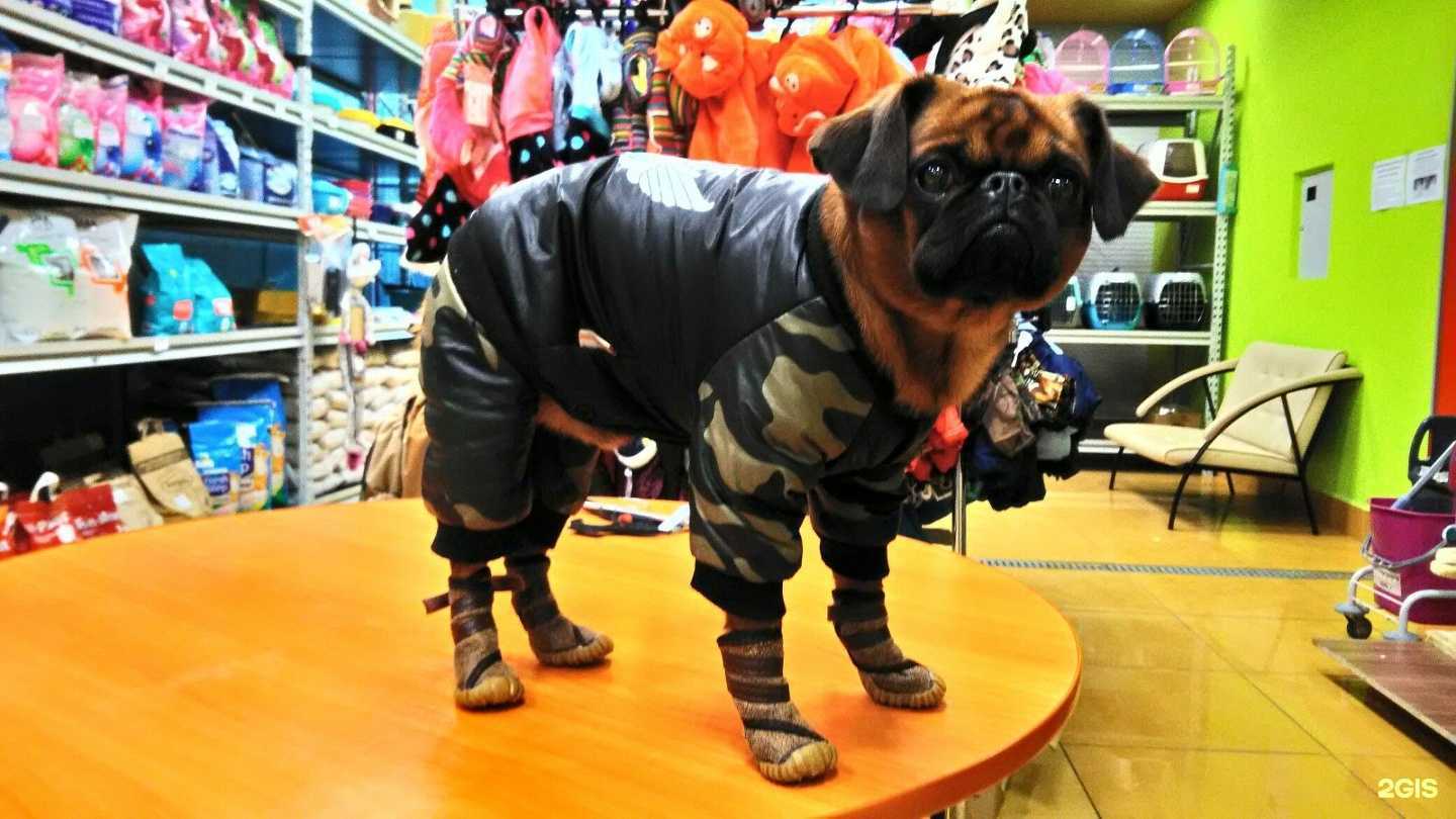 Отзывы на компанию ВетМастер в Перми c фото