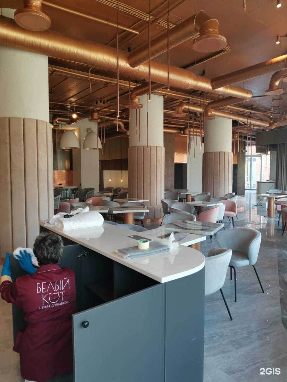 Отзывы на компанию Белый Кот в Владивостоке c фото