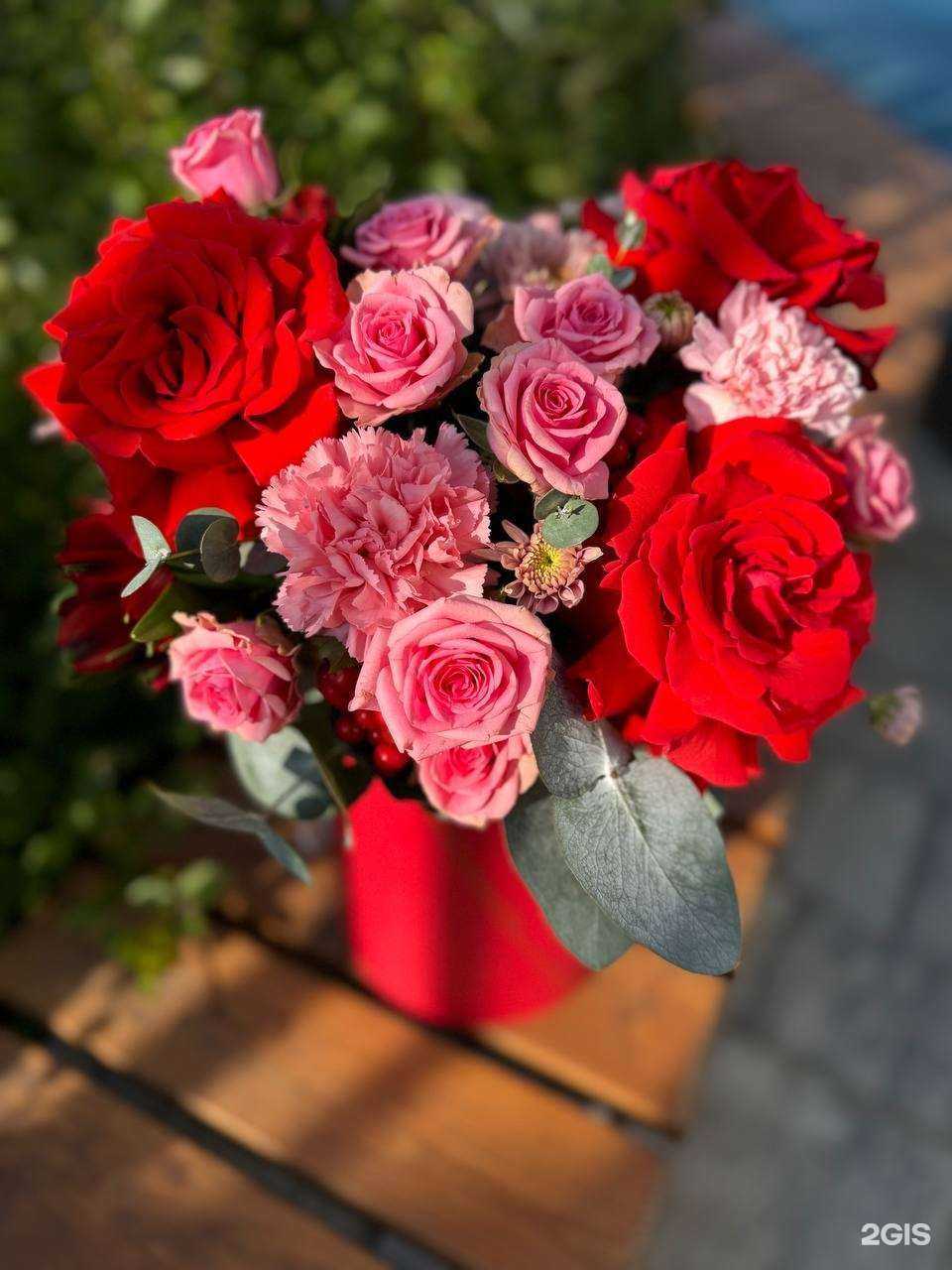 Отзывы на компанию Кактус в г. Пермь c фото