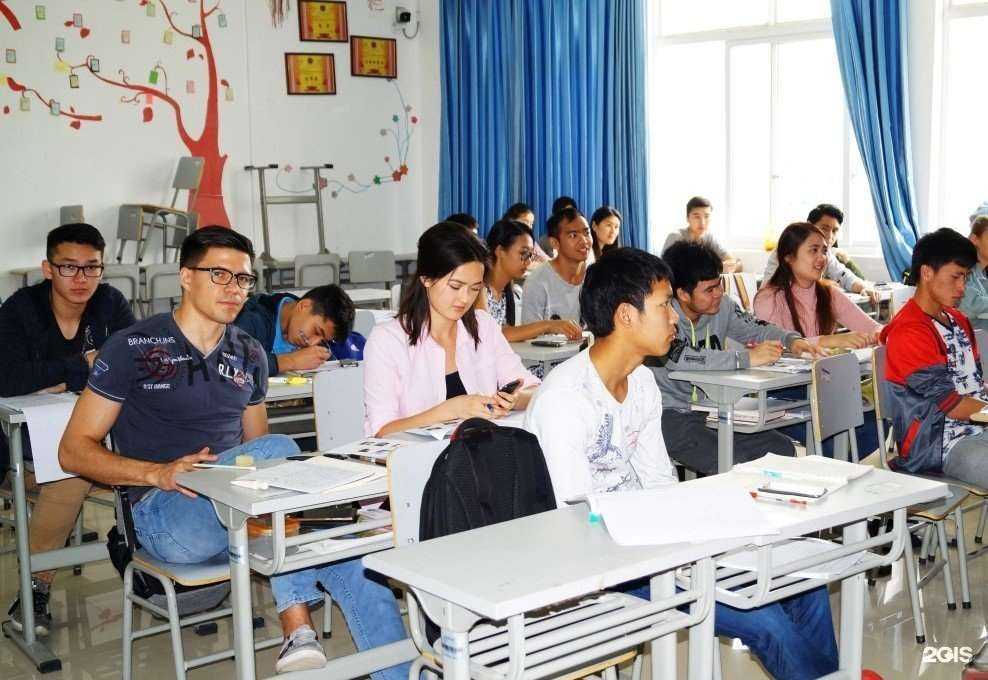 Отзывы на компанию ДВ Региональный центр поддержки международных инициатив в г. Находка c фото