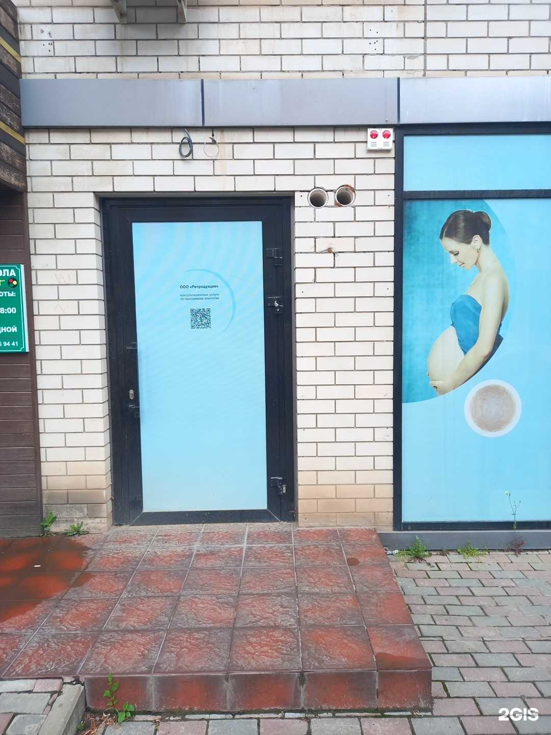 Отзывы на компанию Репродукция в г. Краснодар c фото