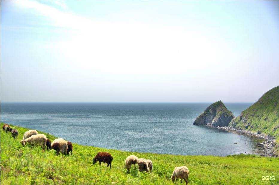 Отзывы на компанию Тунгус в Находке c фото