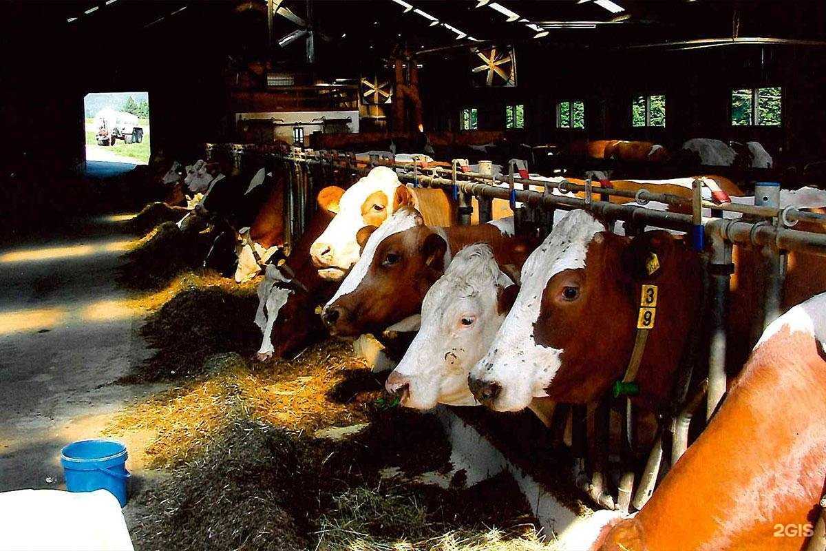 Отзывы на компанию Авиком в г. Барнаул c фото