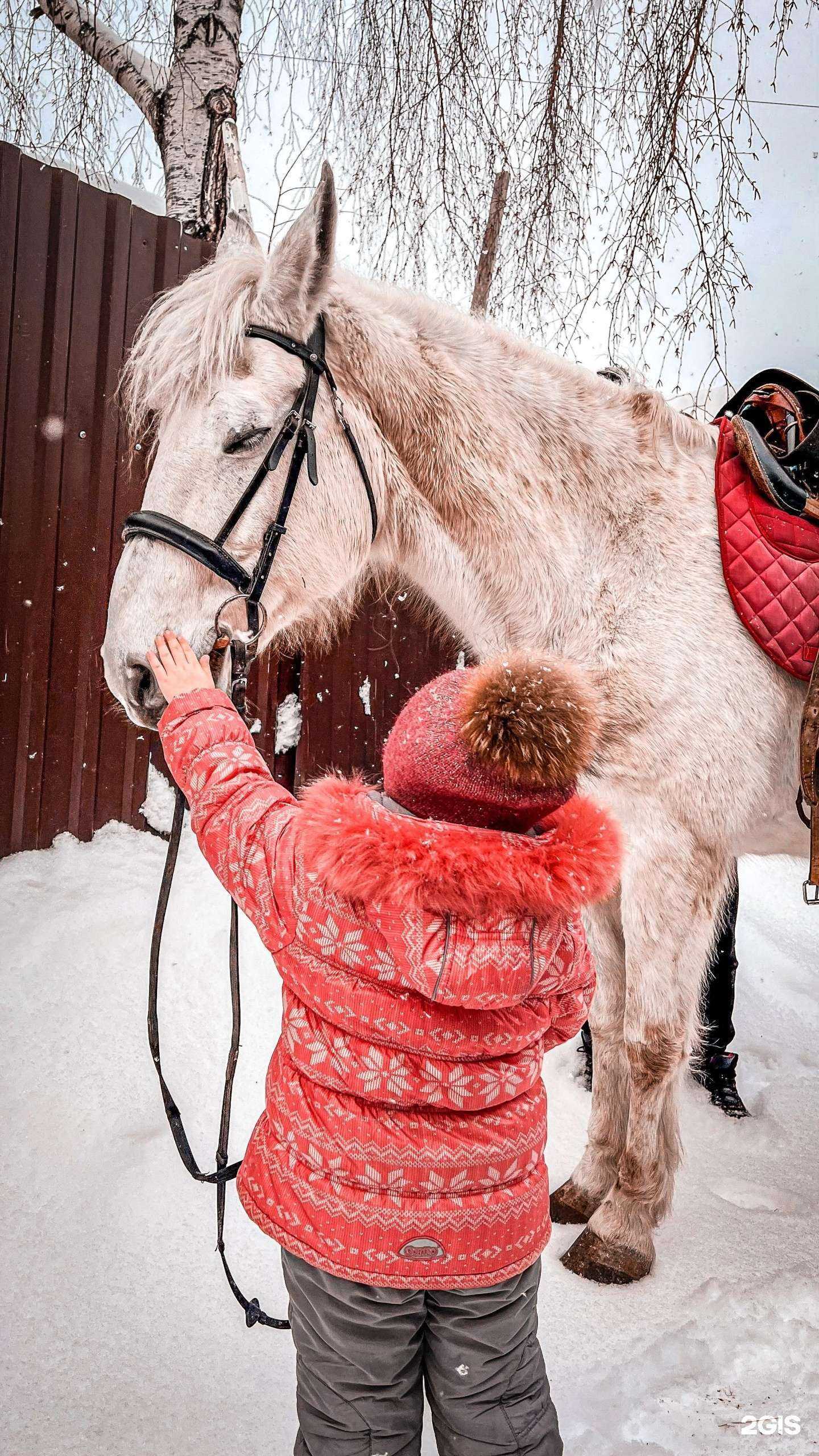 Отзывы на компанию Орловец в г. Томск c фото