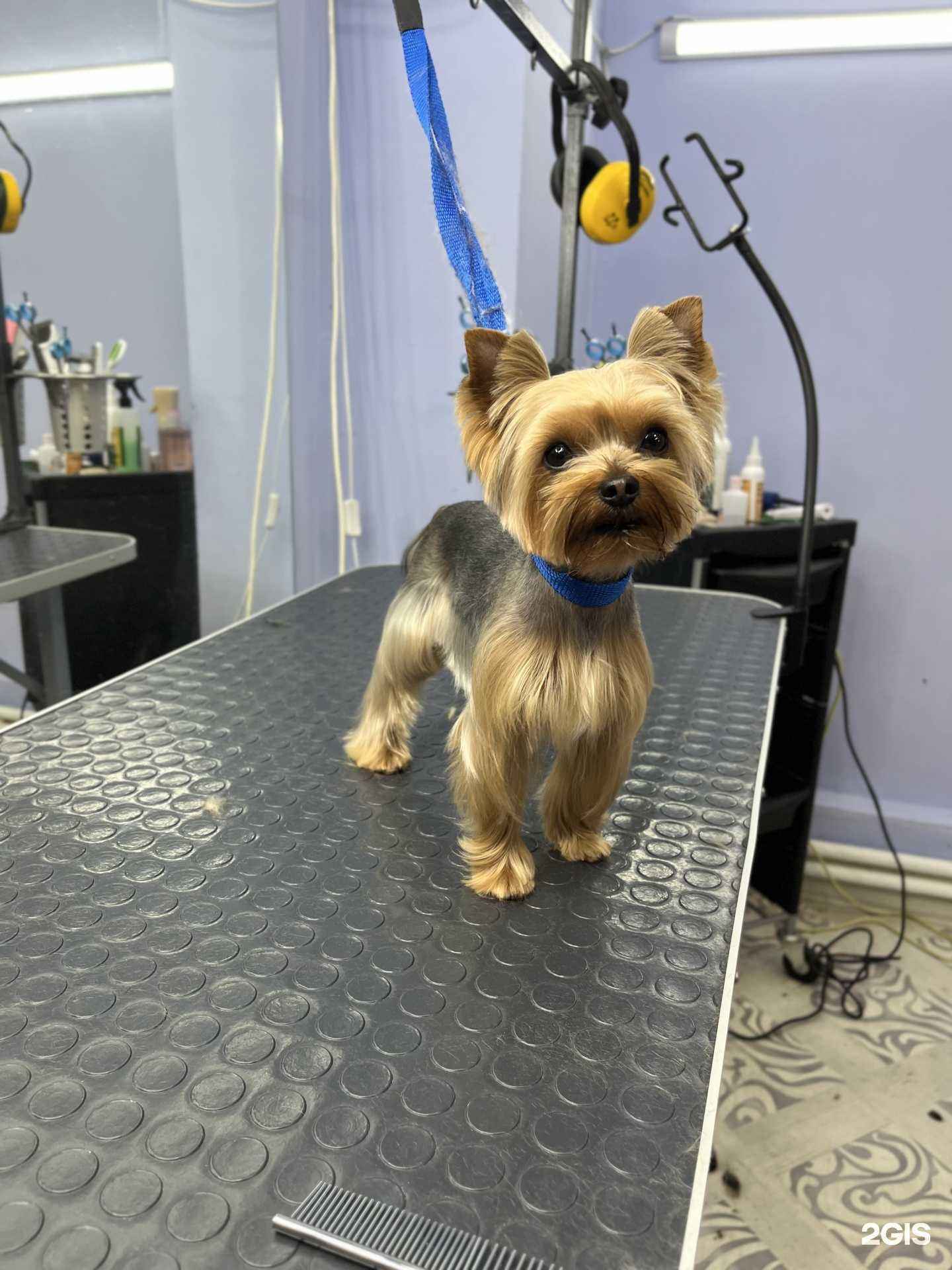 Отзывы на компанию Айкито в Шелехове c фото