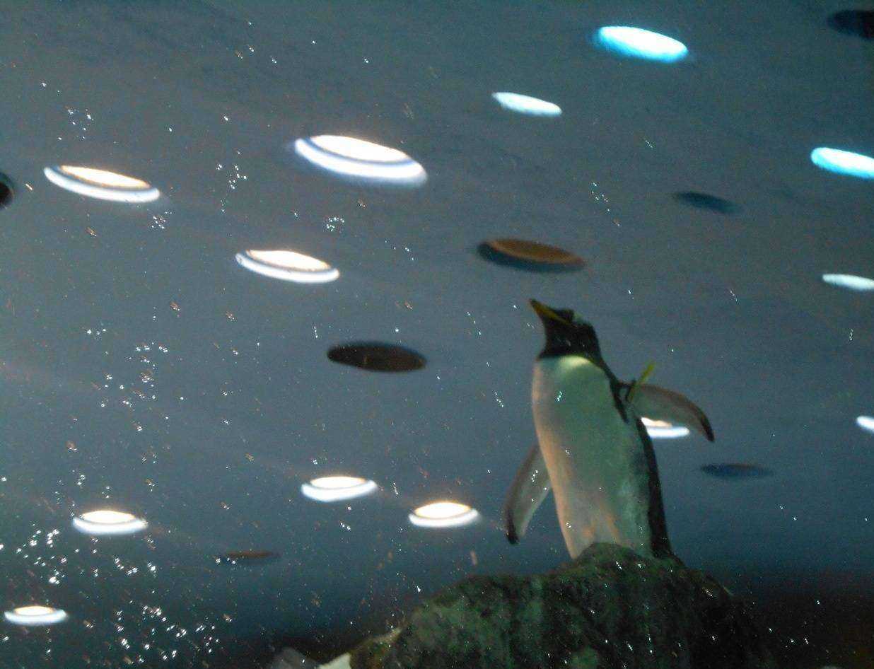 Отзывы на компанию Жигули в Жигулевске c фото