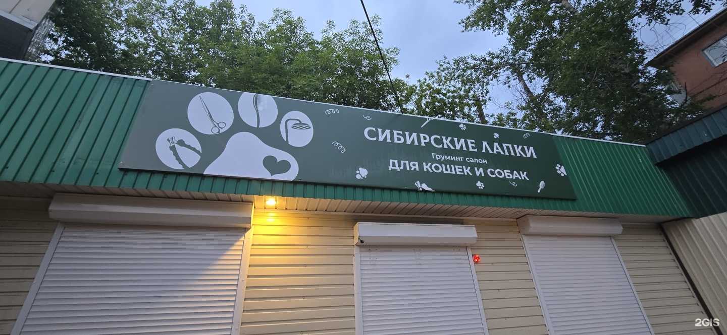 Отзывы на компанию Сибирские Лапки в г. Иркутск c фото