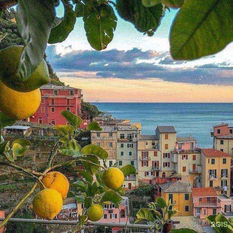 Отзывы на компанию Вояж в г. Майкоп c фото