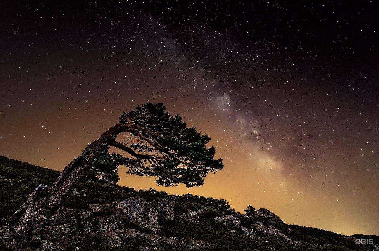 Отзывы на компанию Бурцева, Агасиева и партнеры в Люберцах c фото