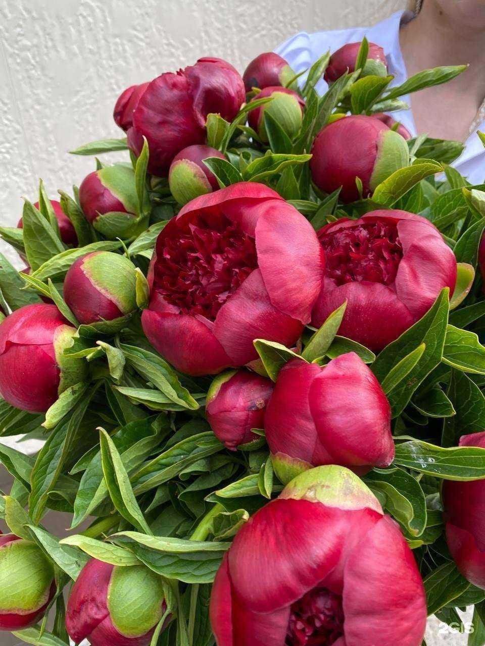 Отзывы на компанию Жасмина в г. Томск c фото