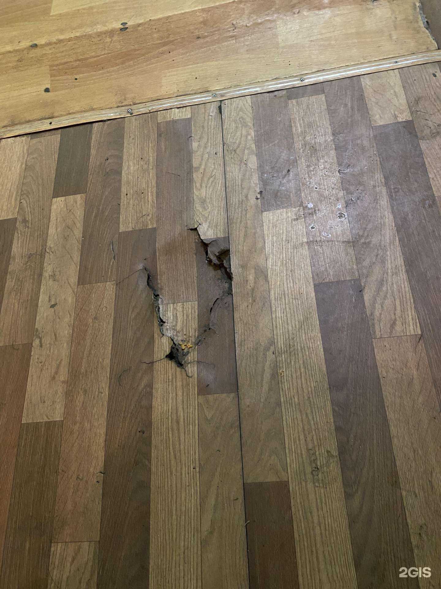 Отзывы на компанию Авалон в Омске c фото