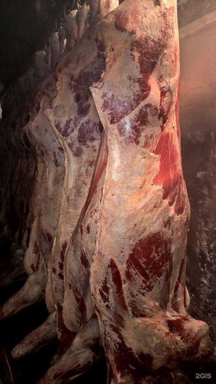 Отзывы на компанию Торговая компания в Барнауле c фото