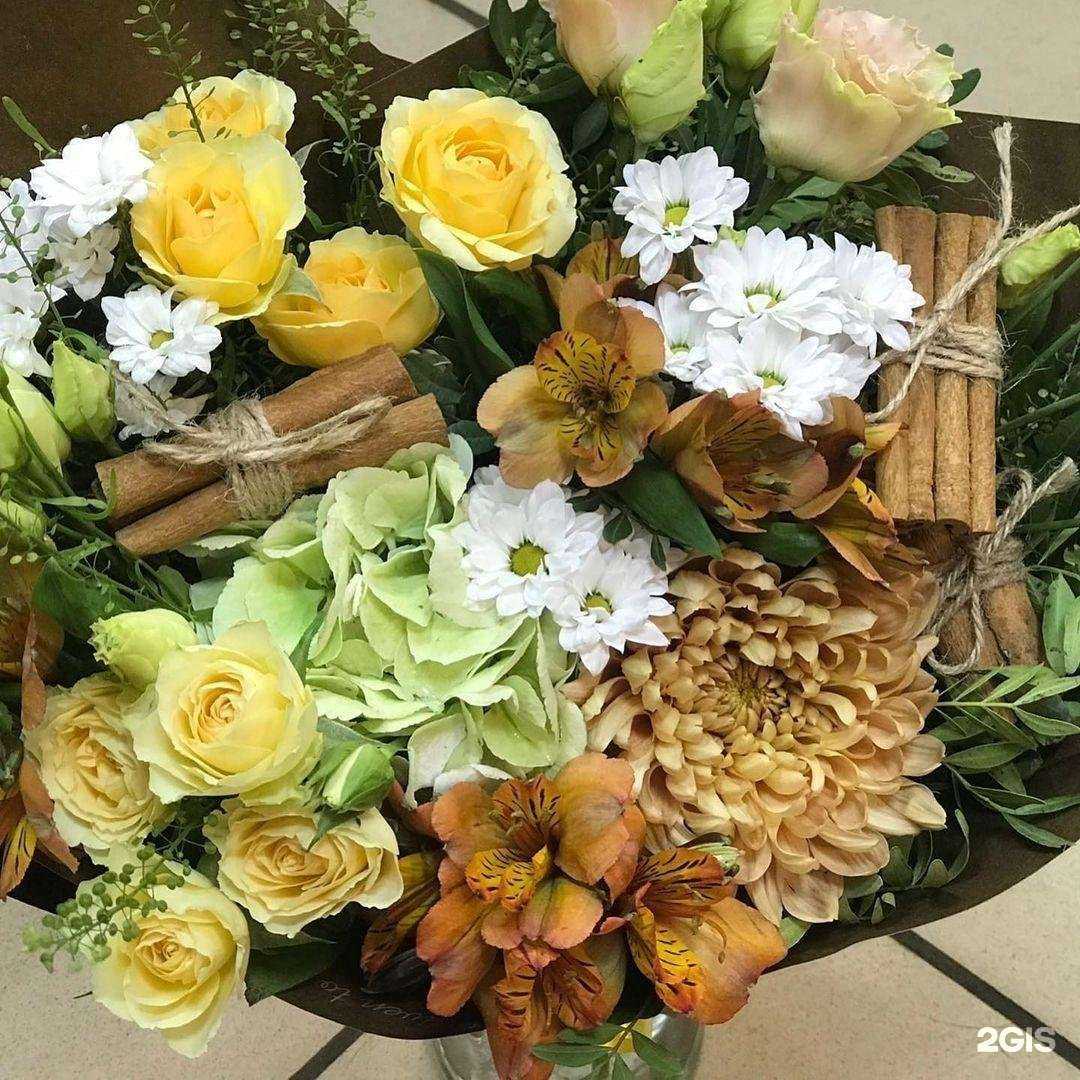 Отзывы на компанию Made in Holland в г. Жуковский c фото