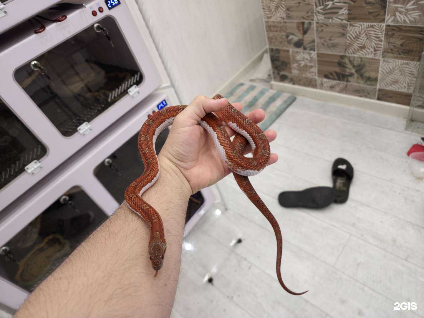 Отзывы на компанию Дарвин в Белгороде c фото