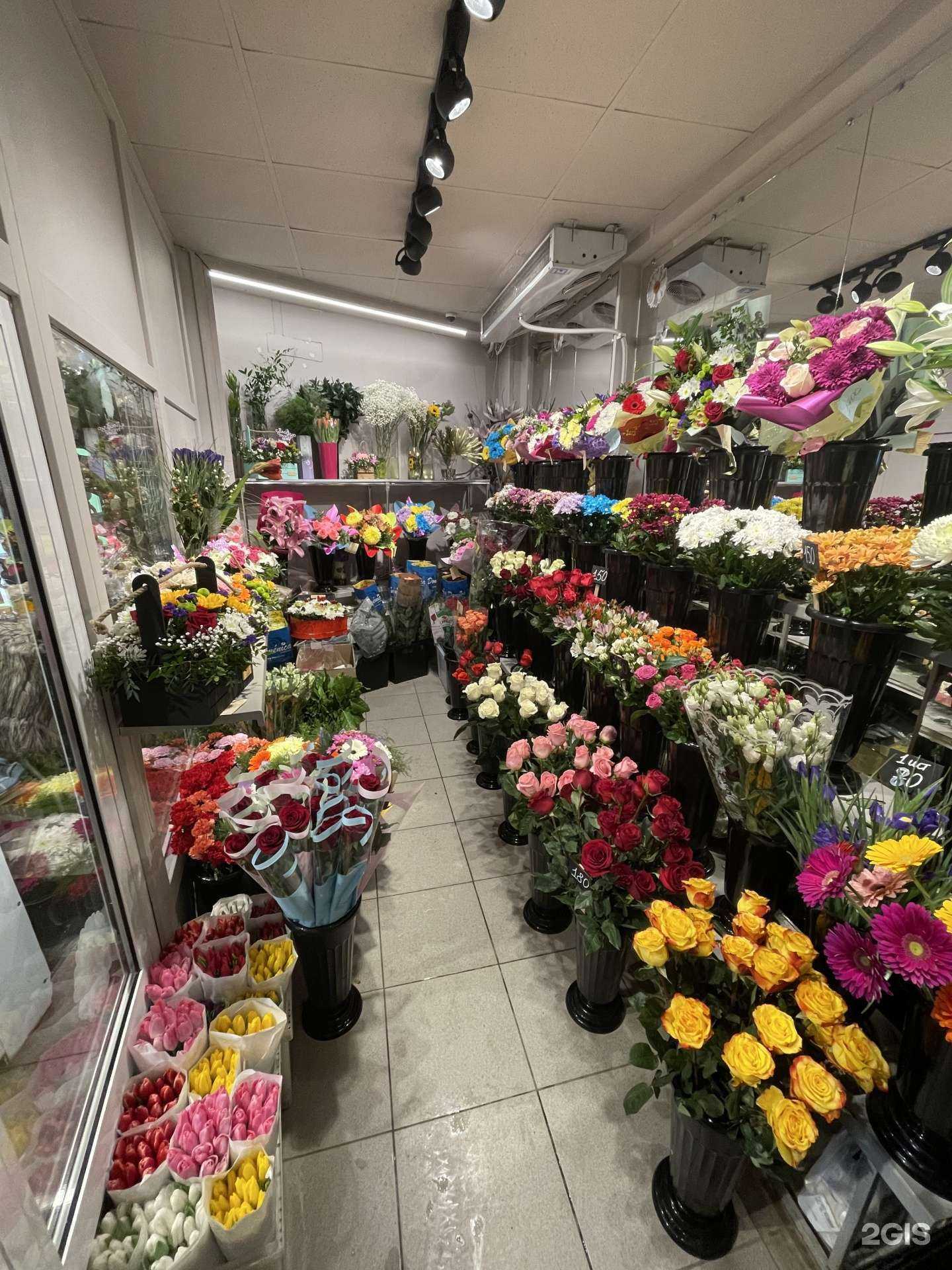 Отзывы на компанию Весна в Рязани c фото