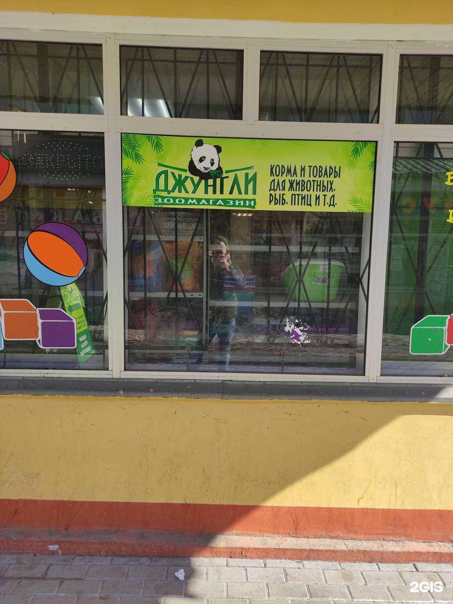 Отзывы на компанию Джунгли в Коломне c фото