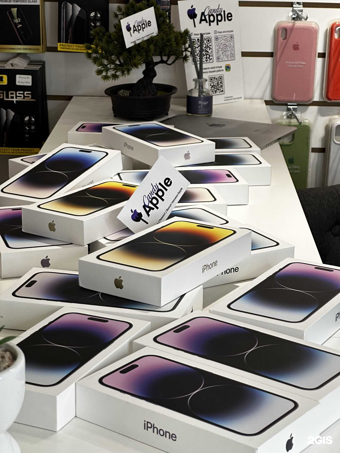 Отзывы на компанию Candy Apple в г. Тюмень c фото