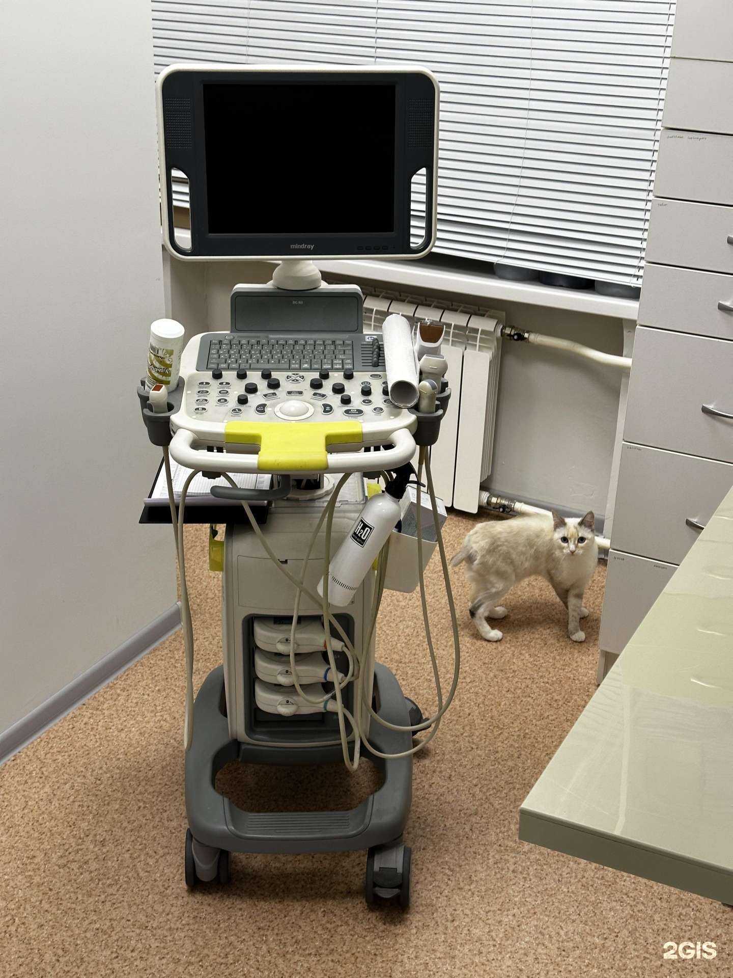 Отзывы на компанию VetCat в Екатеринбурге c фото