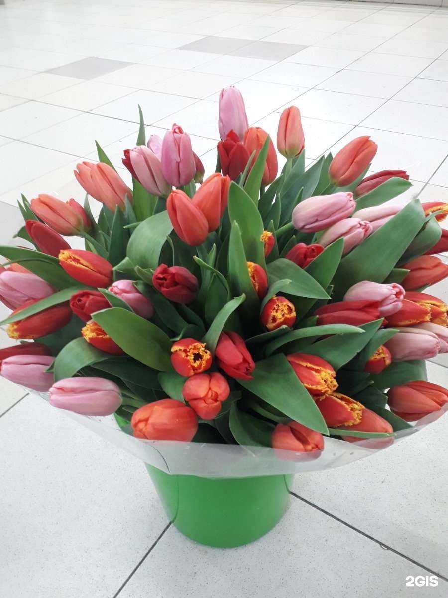 Отзывы на компанию Royal_rose_nsk в Новосибирске c фото