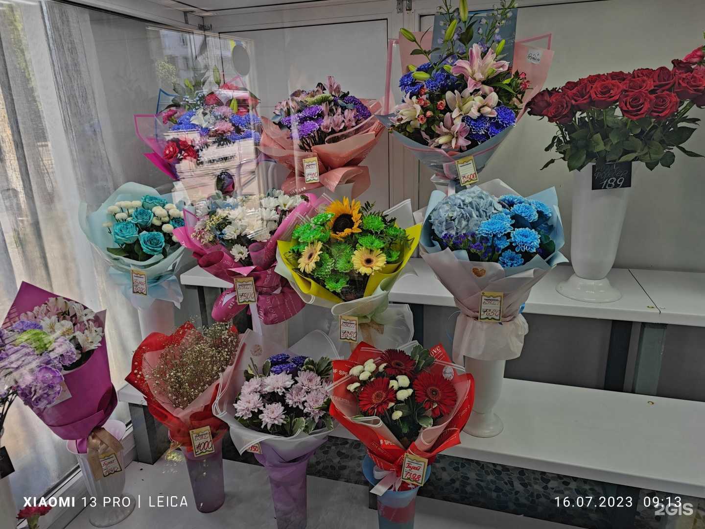 Отзывы на компанию Николь в Череповце c фото