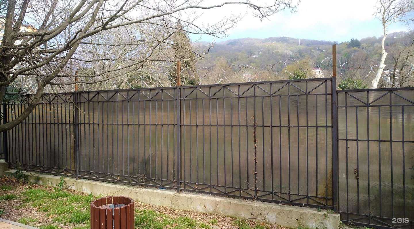 Отзывы на компанию Улыбка в Сочи c фото - фотография 2 из 2